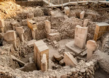 GAP Turunda Neler Yapılır?